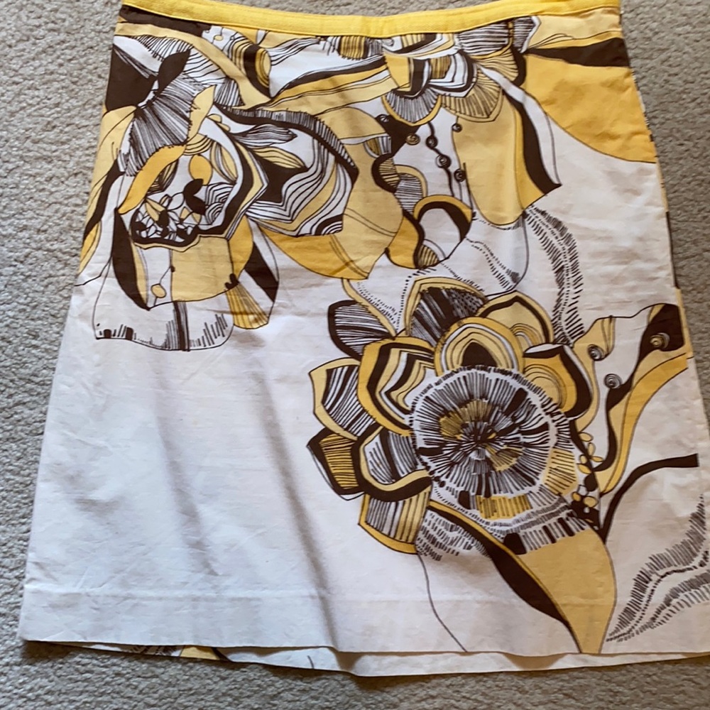 Loft Ann Taylor skirt